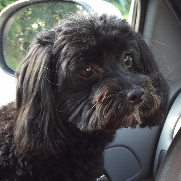 Meet your Posher, Tonya - Picture 1 of 1